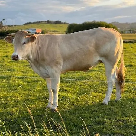 Boutique Albussanluis *