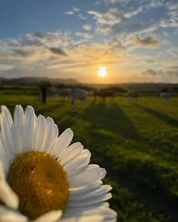 Boutique Albussanluis Muriedas