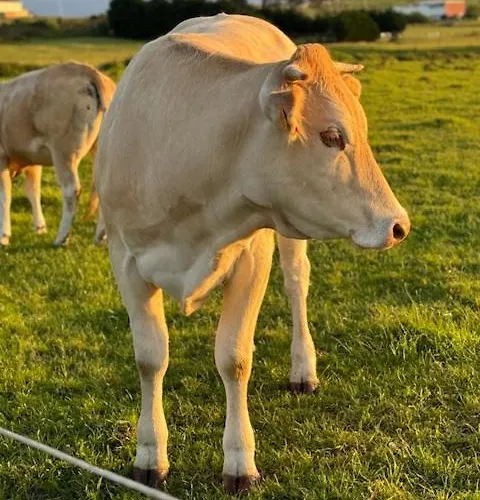 Hotel Boutique Albussanluis Muriedas